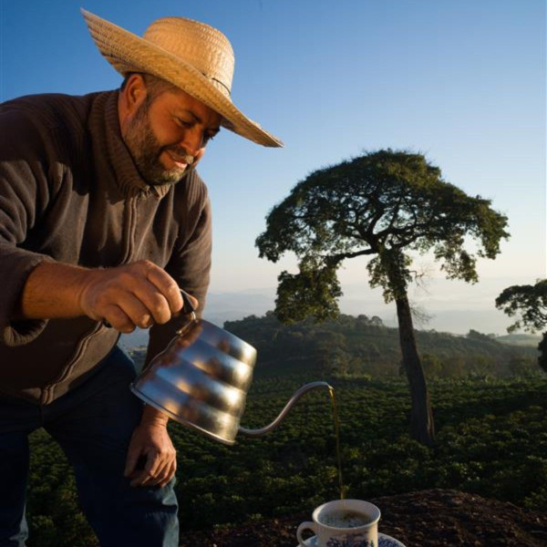 Café en grains ou moulu Brésil | Sítio Canaã 250g