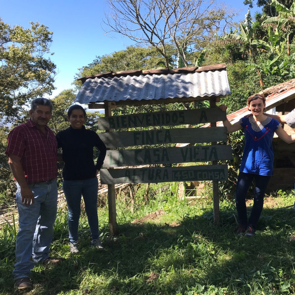 Café BIO en grains ou moulu Honduras | Ceiba 1kg