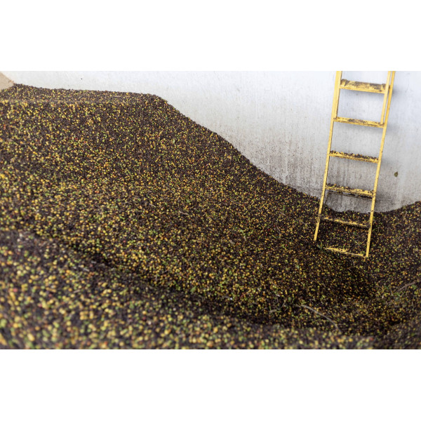 Café en grains ou moulu Brésil|Mogiana 1kg