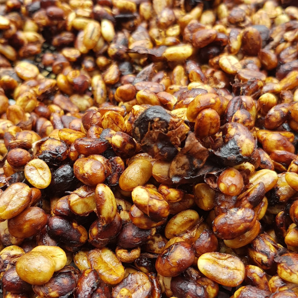 Café en grains ou moulu Costa Rica | La Bandera 1kg