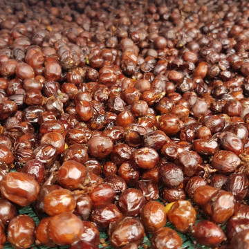 Café en grains ou moulu Costa Rica | La Bandera 1kg