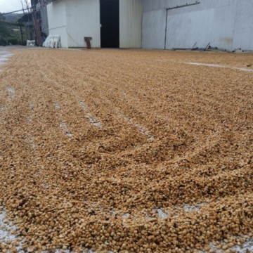 Café en grains ou moulu Costa Rica | Cordillera Del Fuego 1kg