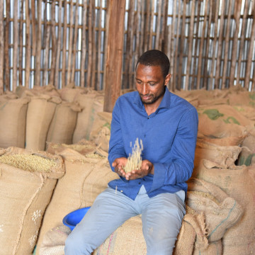 Café en grains ou moulu Éthiopie | Sedi Loya BIO 1kg