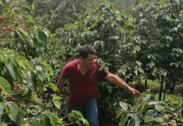 Café "single origin" ou Assemblage : quelle est la différence ? Café "single origin" ou Assemblage : quelle est la différence ?