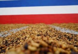 À déguster tout l'été: infusion glacée de Cascara À déguster tout l'été: infusion glacée de Cascara